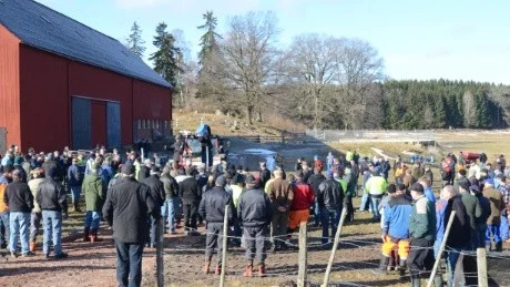 Runt 200 personer kom till gårdsauktionen i Hallingeberg på tisdagsförmiddagen. Foto: Hans Brandin