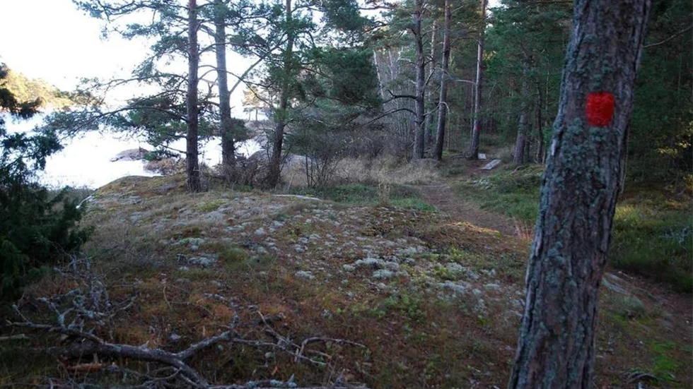 Så här ser markeringarna inför VA-arbetet på Gränsö ut.