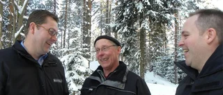 Priserna på skogsfastigheter har gått ner