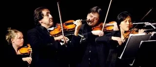 Camerata Nordica för dyr för kommunen