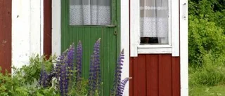 Drömmen om en egen täppa
