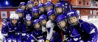 Bandy från morgon till kväll
