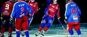 Tjust Bandy krossade Bore