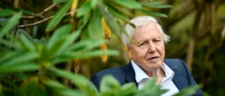 "En tiondel av all artrikedom i världen riskerar att försvinna"