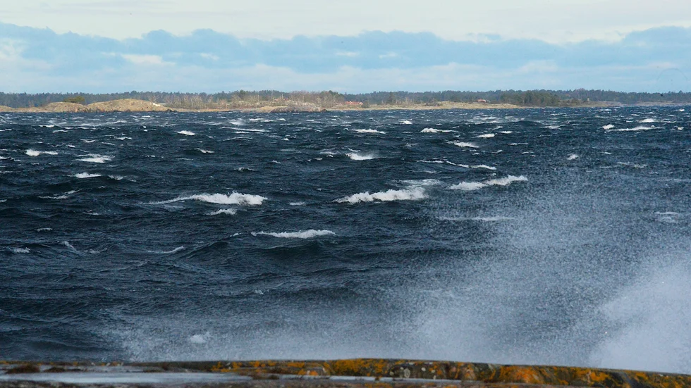 Det kommer att friska i under torsdagen och fredagen med kulingvindar på upp till 24 meter i sekunden, bilden är dock från stormen Malik.