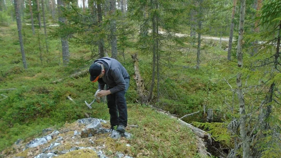 Så här kommer det att se ut i skogarna nordväst om Igelfors i vår. Ett tålmodigt letande efter bland annat silver och koppar. Bilden från Skellefteå.