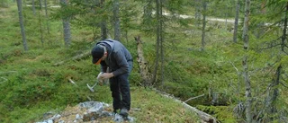 Bolag ska leta silver i skogarna
