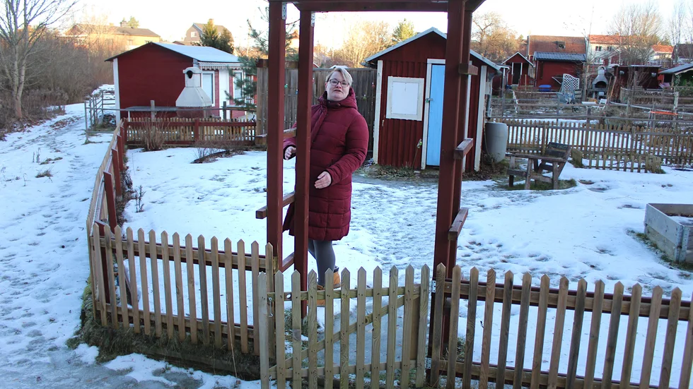 Ida Andersson är ordförande för Måndalens nybildade koloniförening. Hennes egen lott ligger i hörnet mot skogen.