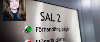 Nya misstankar mot misstänkta barnvåldtäktsmannen • Åklagaren: "Det är grov våldtäkt mot barn alltihop"
