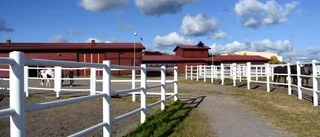 Kiruna ridklubb om domen: "Avvaktar kommunens besked"