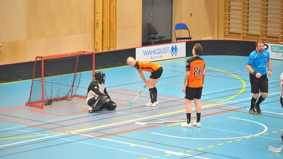 Depp i hemmalaget under IBK Luleå–Örnsköldsvik IBK i Allsvenskan.