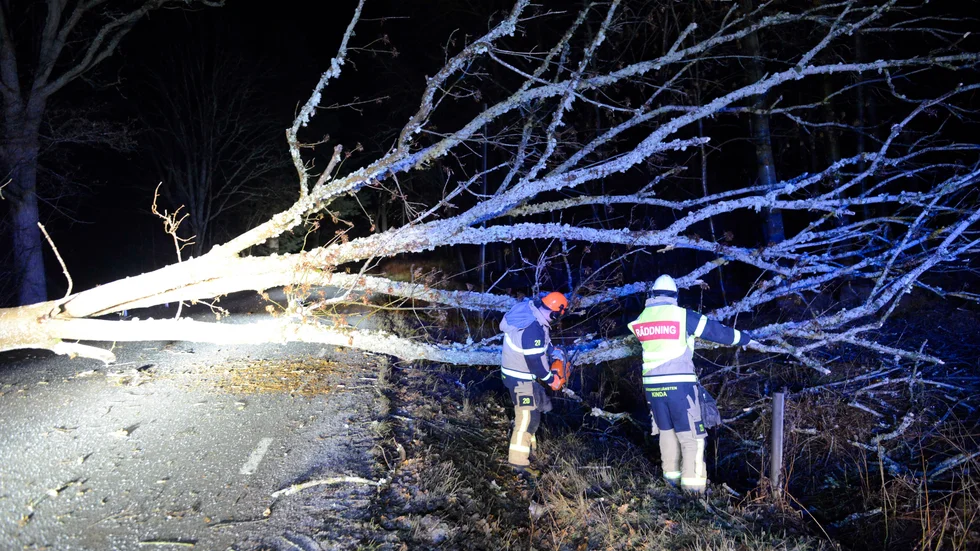 Den här bilden togs i Kinda tidigt i måndags morse, när omkullblåsta träd stoppade trafiken på flera håll runt om i Östergötland. I kväll väntas det blåsa hårt igen. 