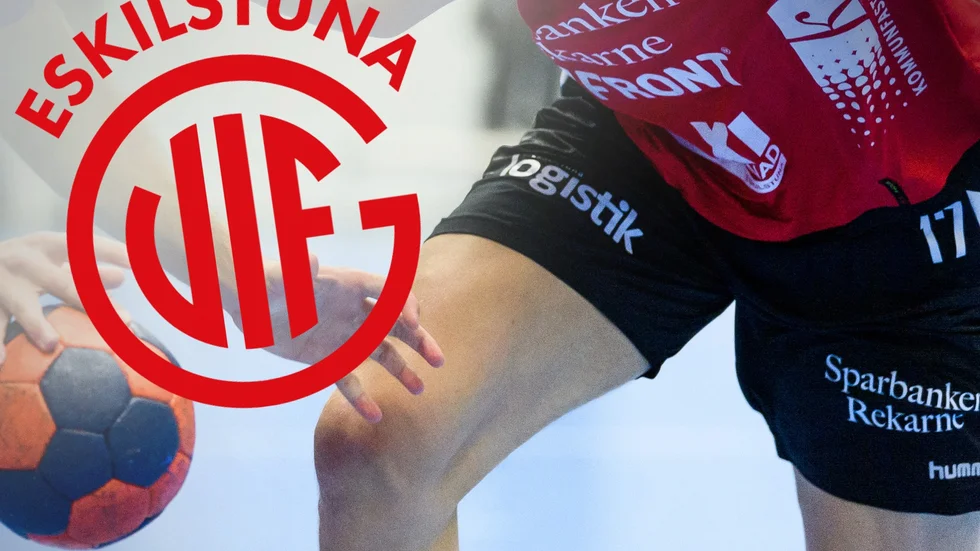 En Guifledare döms till böter efter Handbollsligamatchen borta mot IFK Ystad.