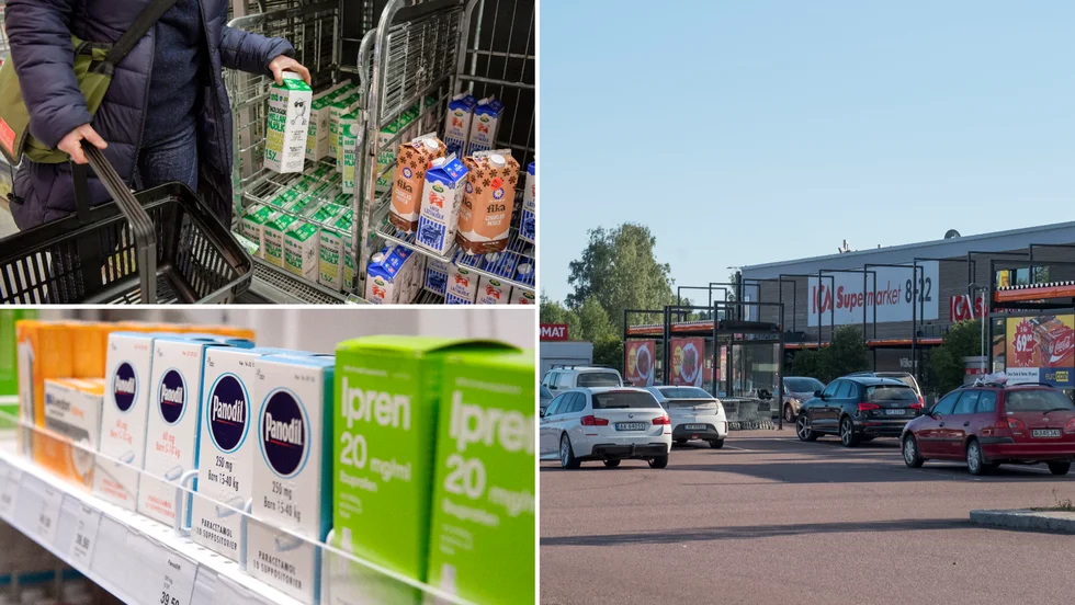 Personen önskar i ett Skellefteåförslag att slippa ta bilen för att handla mat och medicin.
