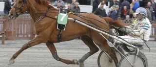 Hemmahopp i ”Kransen”