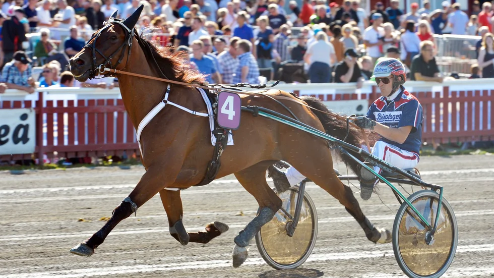 Victory Va Bene och Micael Melander. Arkivbild: Leif Andersson