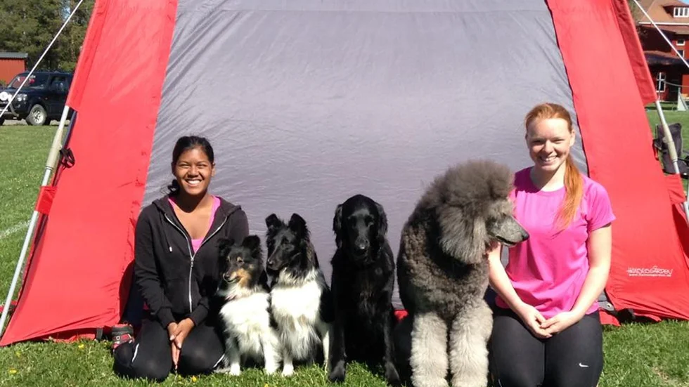 Finalister. Från vänster: Jenny, Ella, Ixa, Bella, Tino, Andrea