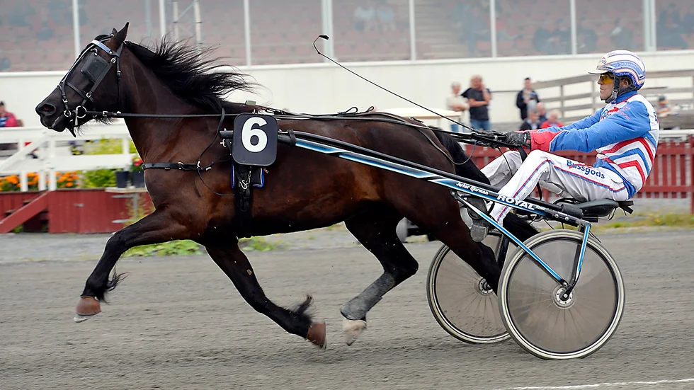 Jerker Bjurmans Katla Kiro slutade trea under lördagskvällens uttagningslopp till Derbystoet. Arkivbild: Ulf Johansson