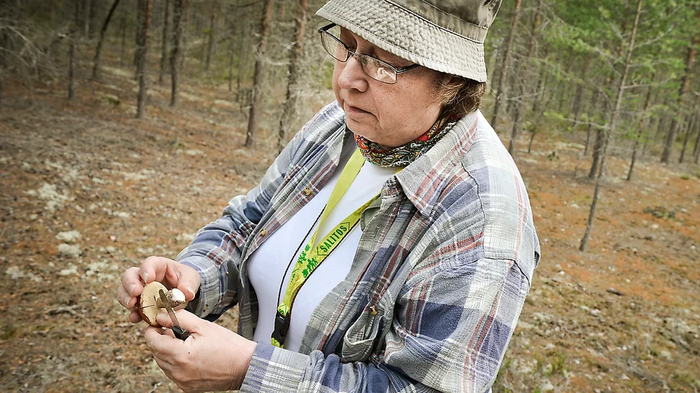 Längtar till skogs. Anna-Lena Lindqvist, sekreterare i föreningen Svampkonsulent Norr. Arkivbild: Leif Andersson