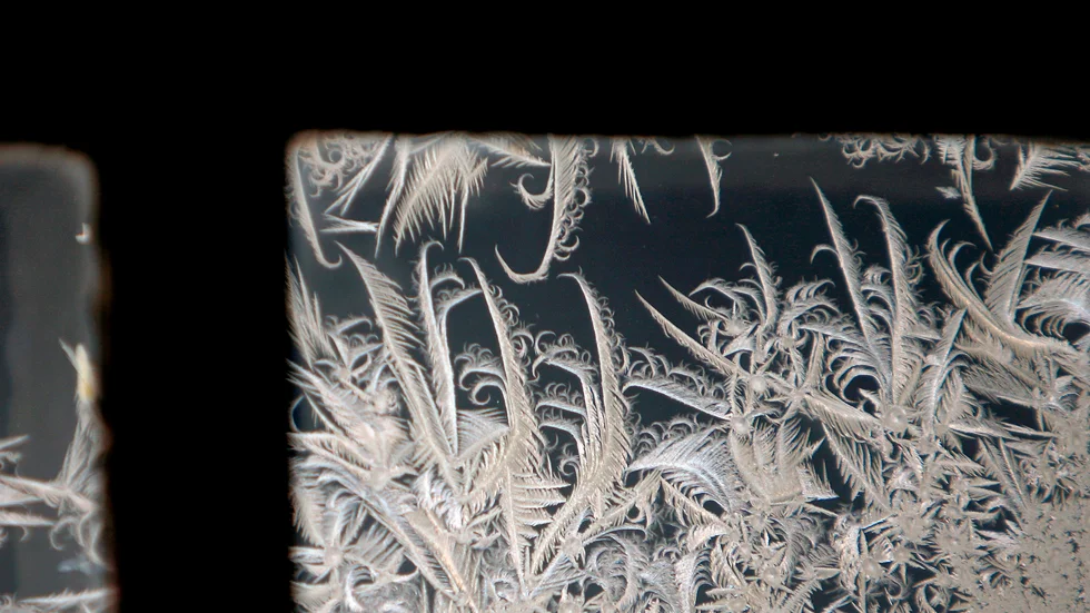Foto: AP/TT.