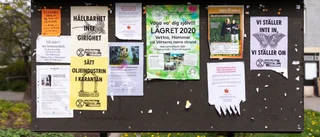 Vårt samhälle klarar sig inte utan ideellt engagemang 