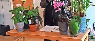 Grön inspiration för SPF Seniorerna