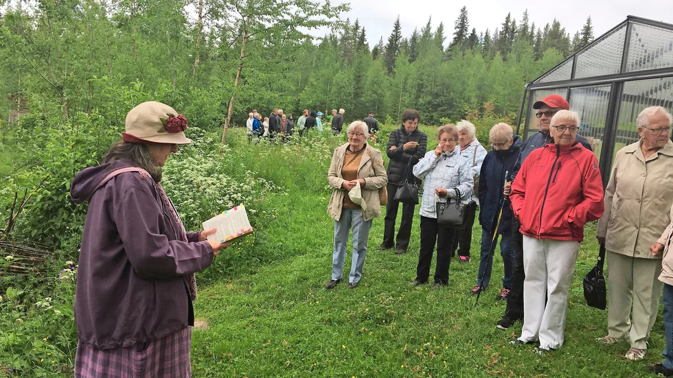 Trädgård. Mariana Mattson guidade Malå Församling i sin trädgård i Norrbyberg. Foto: Ulf Vikman.