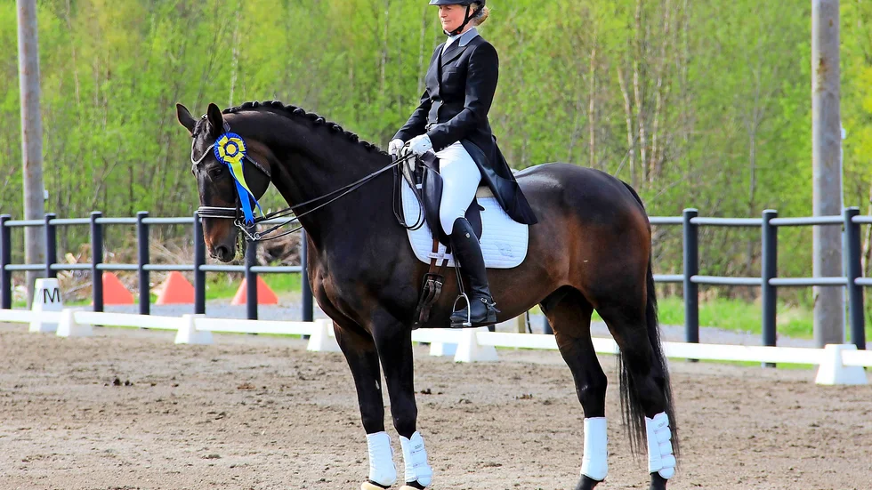 Framgångsrikt ekipage. Woody och Erica Stenlund under av sommarens tävlingar i Umeå. Foto: Petra Lind