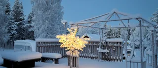 Läsarbilden: Vackert skymningsljus