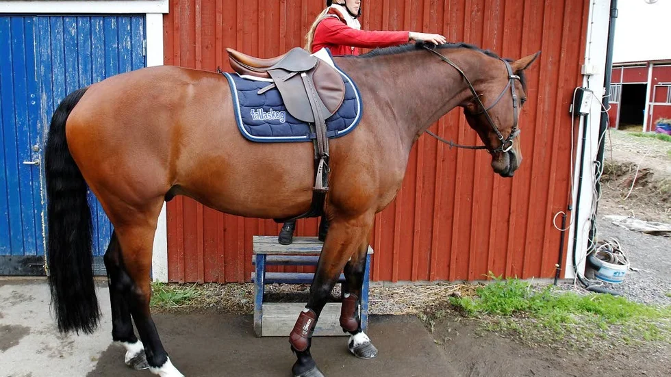 Matilda Pettersson.