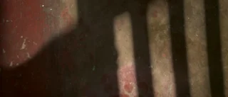 Högklassig skotsk deckare