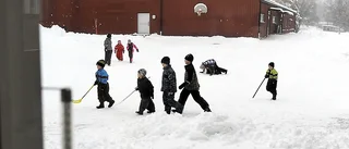 Budgetdiskussion om Parkskolan