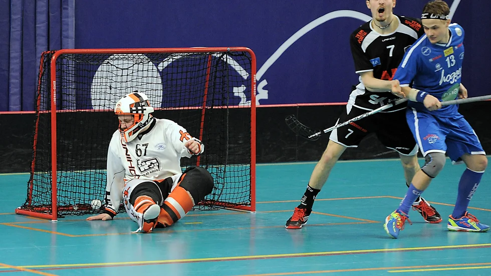 Foto: Roine Sandlén.