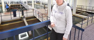 Fyra mils ledning i havet kan ordna vattnet för Lövånger