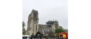 Chock och bestörtning i Paris
