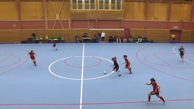 Skärmdump: Bild från matchen.