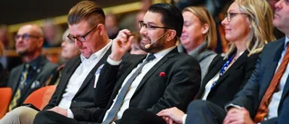 Åkesson omvald som SD-ledare