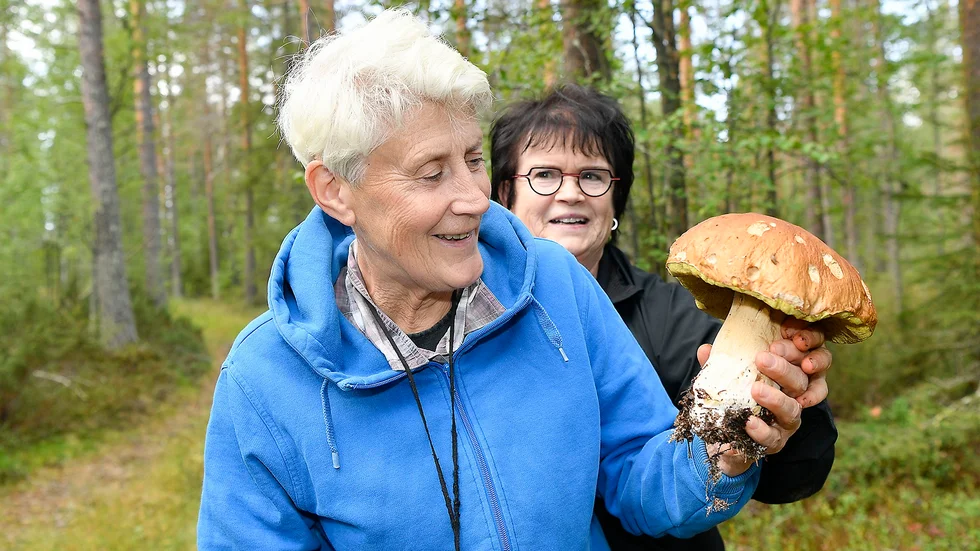 Här visar Karin Åkerström och Eleonora Elkebratt en stor Karljohan svamp.