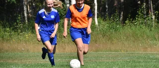 Konstgräs förenar Clemensnäs IF