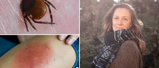 Rejäl ökning av borrelia på Gotland – smittas allt senare på hösten • Emelie har fått borrelia två gånger på mindre än ett år