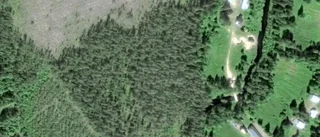 Lantbruksfastigheten på Bjurånäs 299 i Niemisel såld igen - andra gången på kort tid