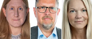 Tre skribenter ∎ Tre ämnen ∎ Panelen pratade politik i P1