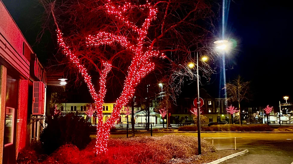 Julbelysning är fint. Men kommunen behöver spara på elen.