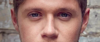 Skivrecension: Niall Horan saknar hitmaterial – en ljummen debut