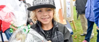Höstfest i badhusparken i Skelleftehamn