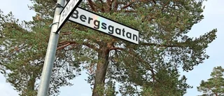 Byskebon om dömda inbrottsligan: ”Vansinnigt hemskt och för korta straff”