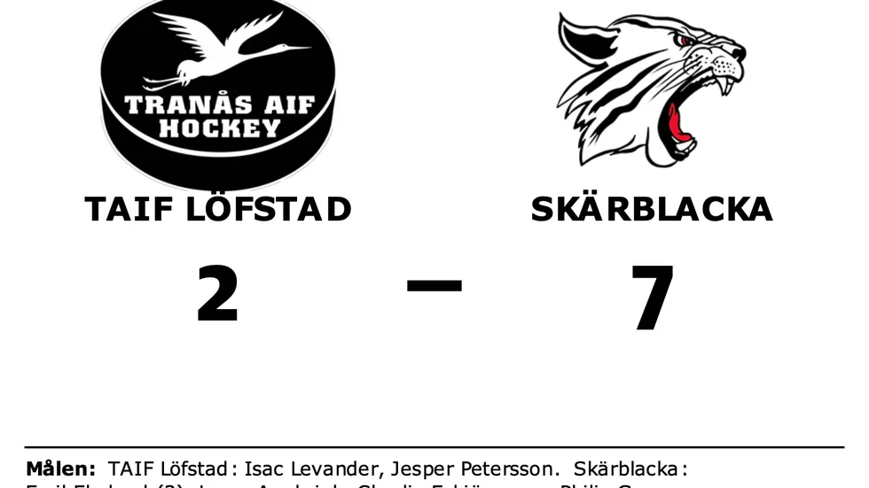TAIF Löfstad förlorade mot Skärblacka IF