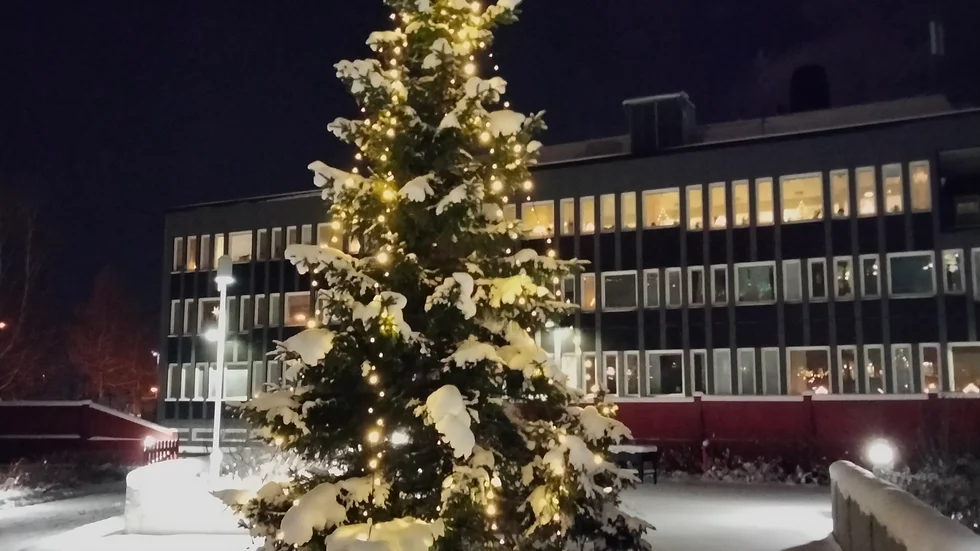 Strålande jul. Finaste granen i stan finns utanför ett trygghetsboende på Mjölkudden. Det tycker i alla fall Mirja Parviainen som skickat in den här bilden. Hur ser granen ut där du bor? Skicka gärna in breda bilder, inte höga och stående, till familjeliv@nsd.se så kanske just din bild kommer med i tidningen.