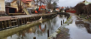 Nytt besked om slukhålen: Renoveringen av kajen får slutföras – trots rödlistade arter  