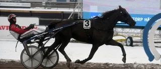 Hetaste tipsen till Mantorp – med Tomas Thell